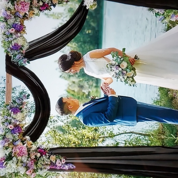 Chiffon Wedding Arch Drapes NWT - Picture 3 of 9